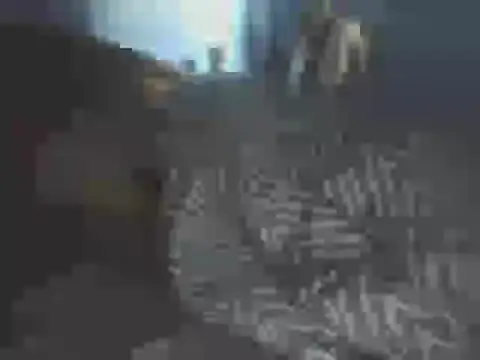 sharpskinhead's live room