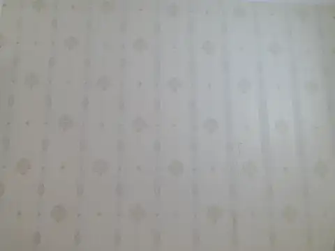 coco-LL webcam