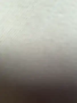 MerlinDave webcam