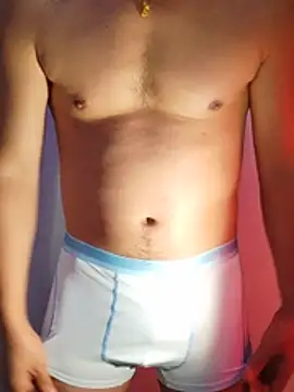 guozuo webcam