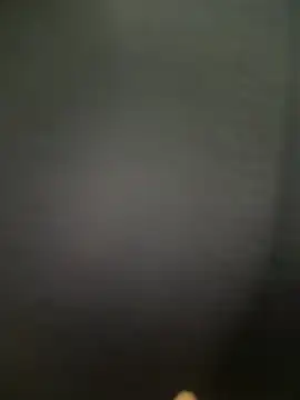 Tran_myy