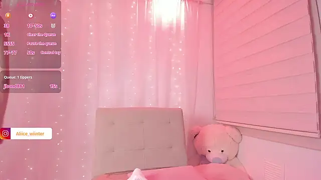Alice_winter_ webcam