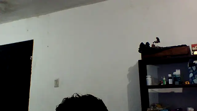 simpatico1000 webcam