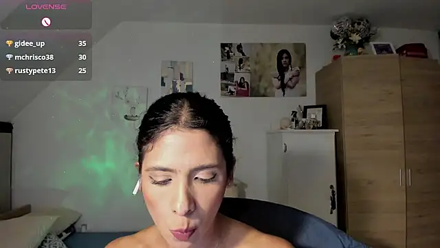 Veronikolsen- webcam