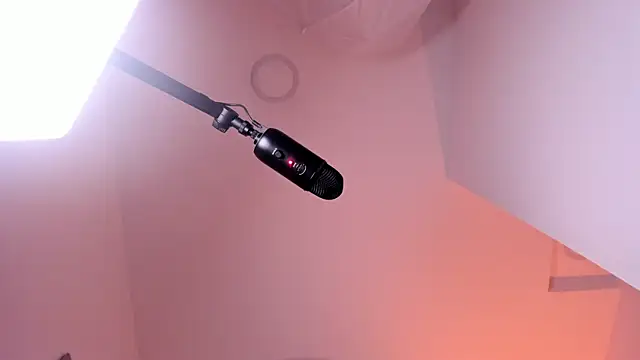 MAGIC_VERA webcam