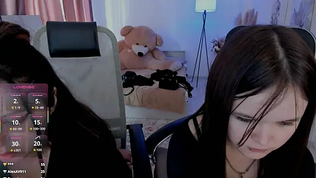 Elainebeness webcam