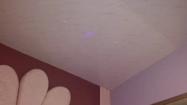 IrinnaShidou_ webcam