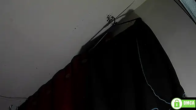 StarElii webcam