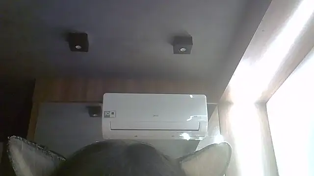 skinnykitten - SkinnyKitten's free webcam - UK Sex Cams
