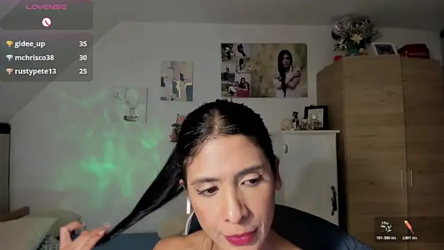 Veronikolsen- webcam