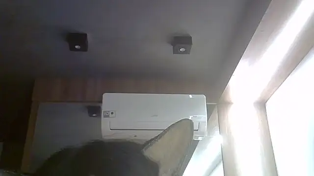 SkinnyKitten webcam