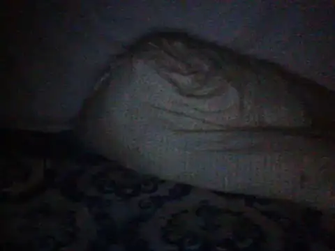 CohesiveCatching webcam
