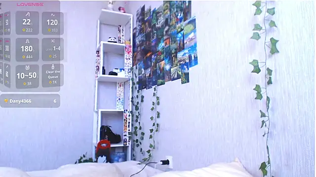 lilidip webcam