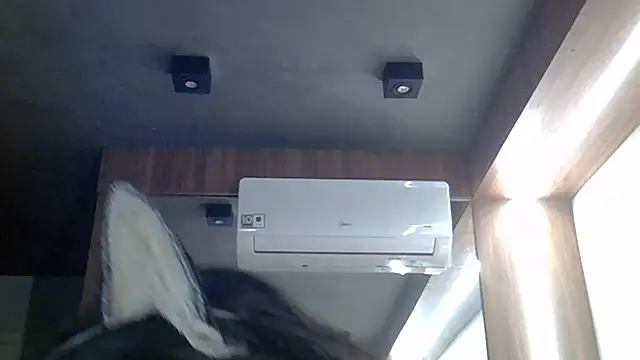 SkinnyKitten webcam
