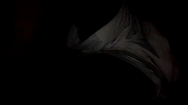 Supvshsh467 webcam
