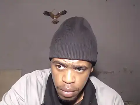 Frank_X_Husle webcam