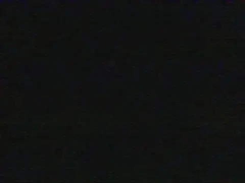 shugabaibe webcam