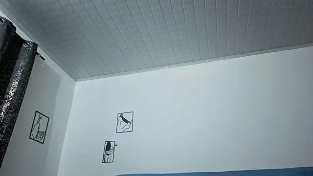 brandy_h9 webcam