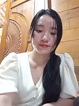 Td3di webcam