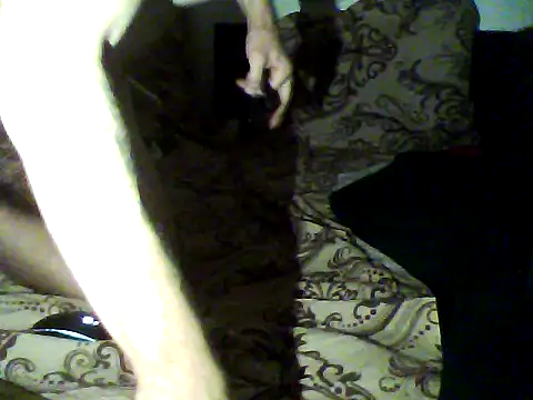 shufflercat webcam
