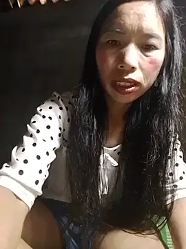 Tho-bibi webcam