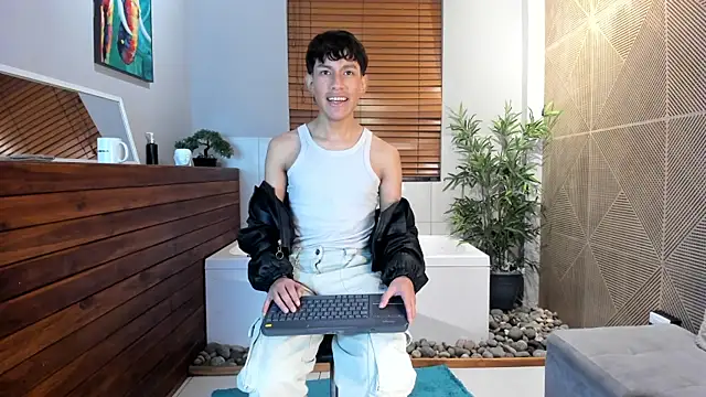 Pierre_Leroy_ webcam