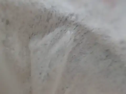 CurvyAurora webcam