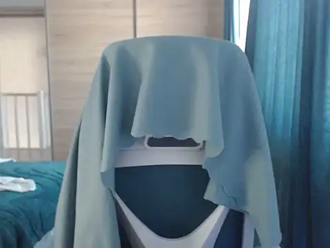 HankMalone webcam