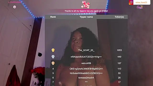 Vanelle_Xmile webcam