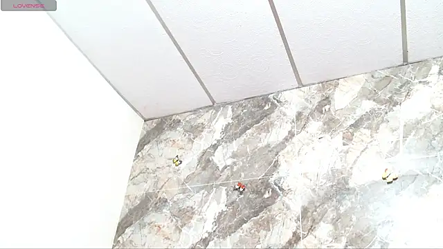 kima_leds webcam