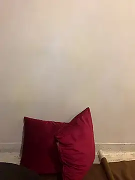 DAKOTA_RAVEN_CR webcam