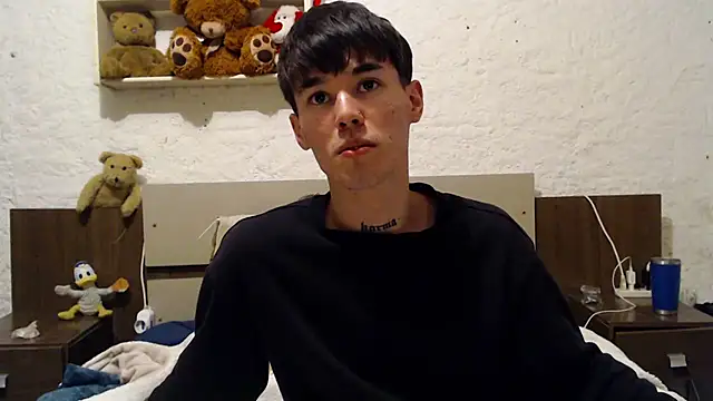 Brilenn webcam