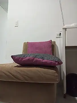 TuCanero23cm webcam
