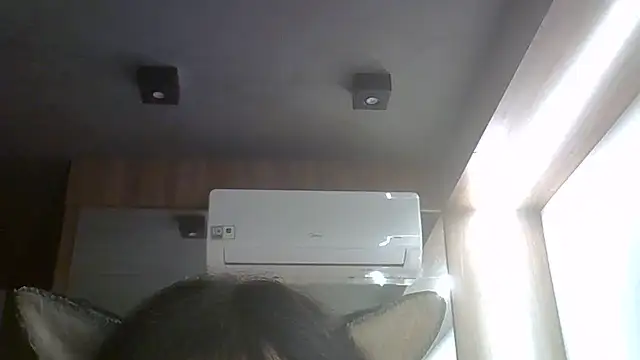 SkinnyKitten webcam