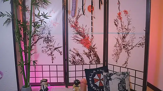 Greiz_SubKimura webcam