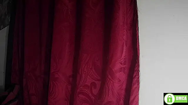 StarElii webcam