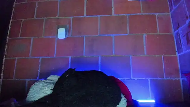 Cata-angel webcam