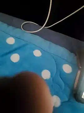 bch1045 webcam