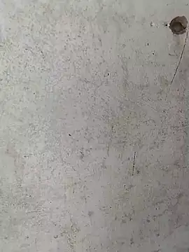 Sea-ice webcam
