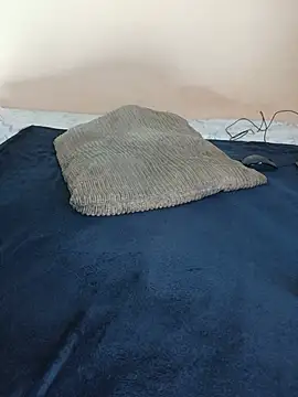 lineras webcam