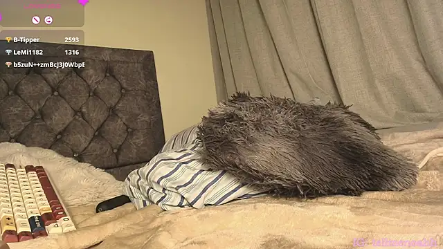 Hairyparadise webcam