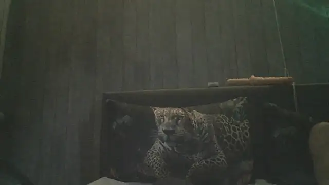 bicouple1992 webcam