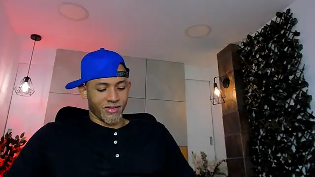 B_Wild webcam