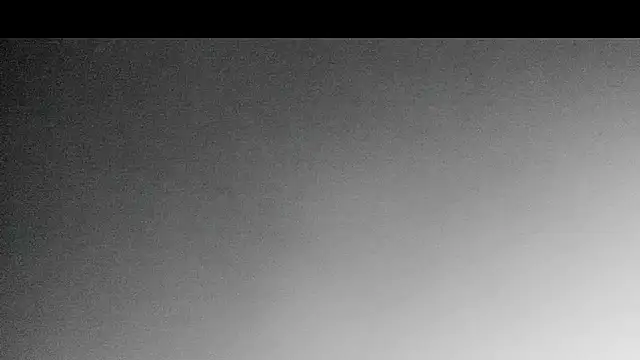 evanscollins webcam