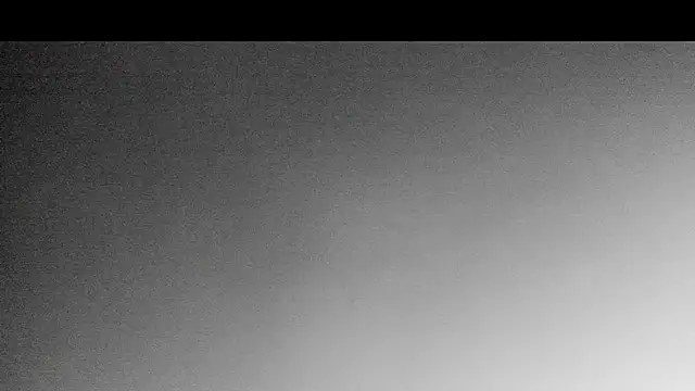 evanscollins webcam