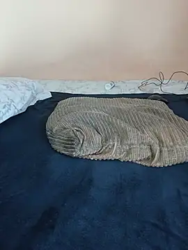 lineras webcam