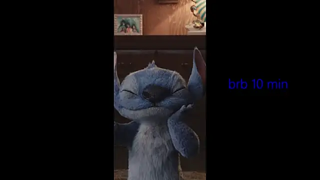 vinkitinkii webcam