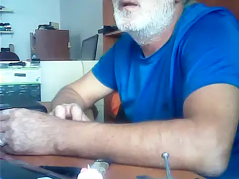 zormen355 webcam