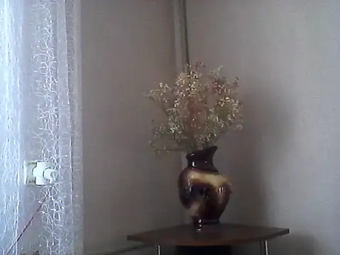 Littlecatme webcam