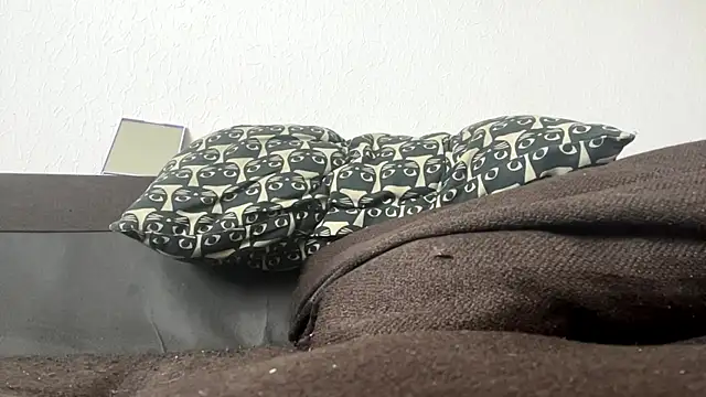 SoagAlexa webcam